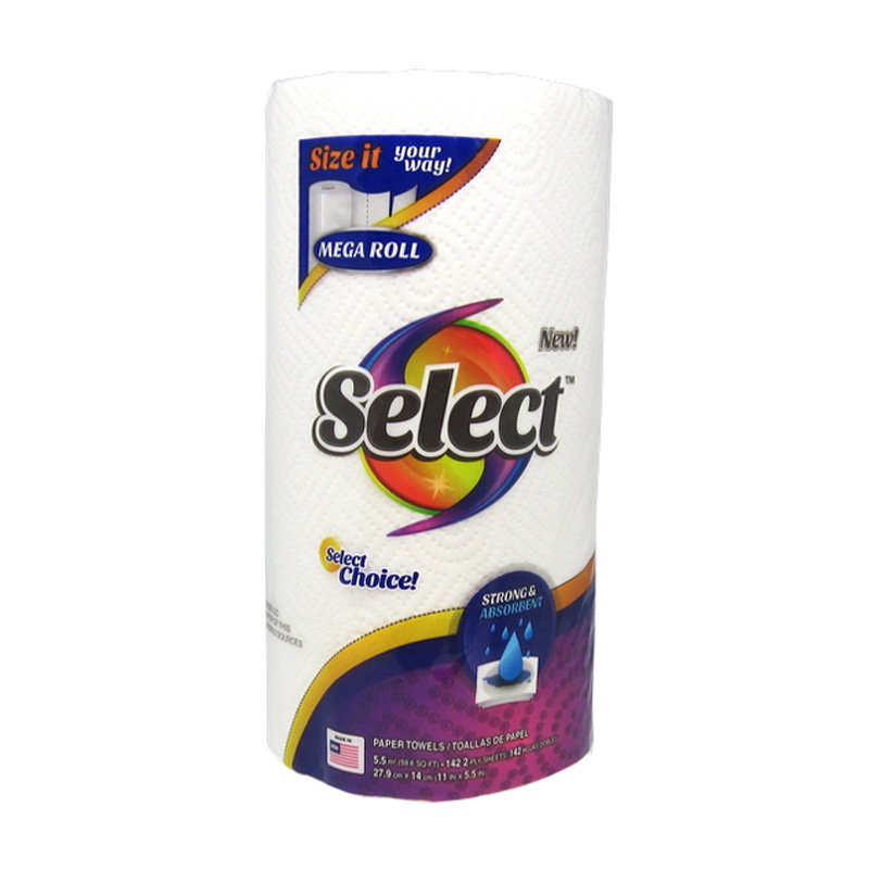 100CT 2PLY SELECT PAPER TOWEL-24