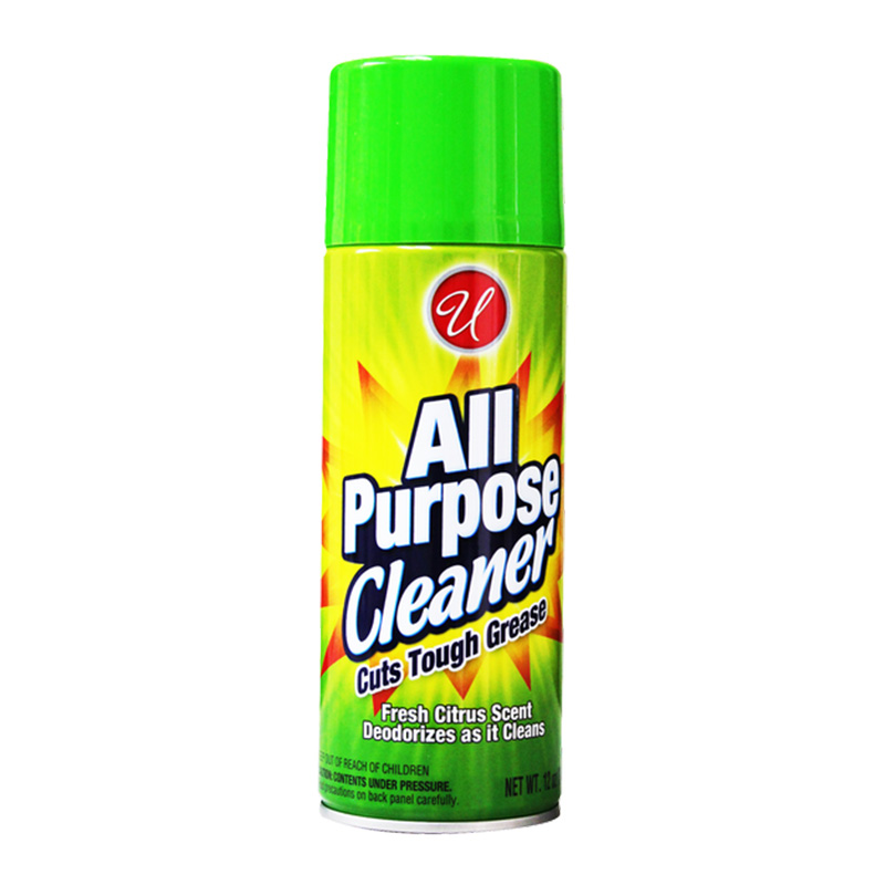 12OZ ALL PURPOSE CLEANER-12